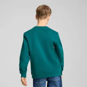 Puma Squad Kids Sweatshirt image-4
