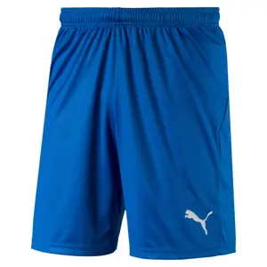Shorts Puma Liga Core image-0