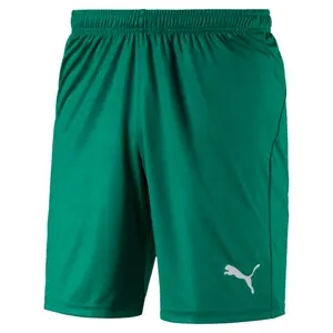 Shorts Puma Liga Core image-0