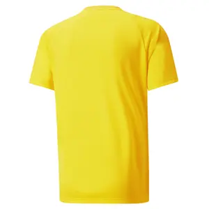 Jersey Puma Team Vision image-1