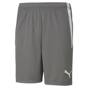 704924-13-short-puma-team-liga-grau-weiss