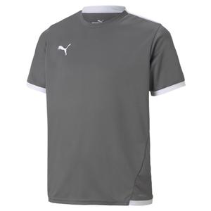 704925-13-kid-s-jersey-puma-team-liga-grey-white