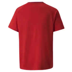 Maglia per bambini Puma TeamVision image-1