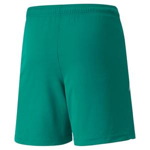 Children's shorts Puma Team Liga image-1