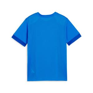 Maillot enfant Puma TeamGloal image-1
