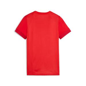 Trikot Damen Puma Teamgoal Matchday image-1