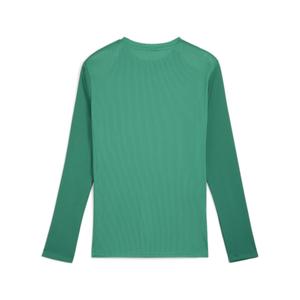 Maglia a maniche lunghe Puma TeamGoal image-1