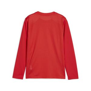 Maillot manches longues enfant Puma TeamGoal image-1