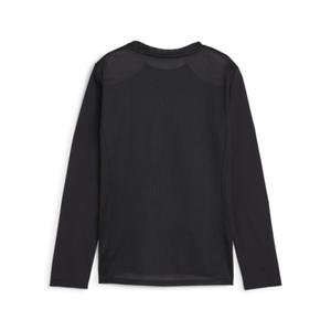 Långärmad tröja för barn Puma TeamGoal image-1