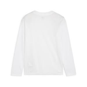 Långärmad tröja för barn Puma TeamGoal image-1