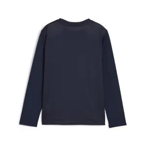 Camiseta manga larga infantil Puma TeamGoal image-1