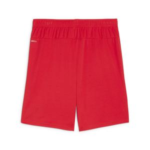 Short Puma TeamGoal image-1