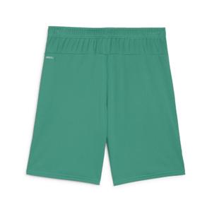 Short Puma TeamGoal image-1