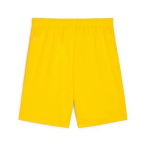 Short Puma TeamGloal image-1