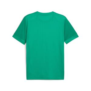 Jersey Puma teamGoal Graphic image-1