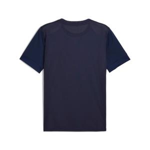 Jersey Puma teamGoal Graphic image-1