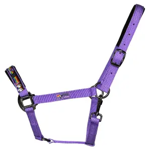 Halter for horse Pummel & Friends Halfter Uno Plus image-0