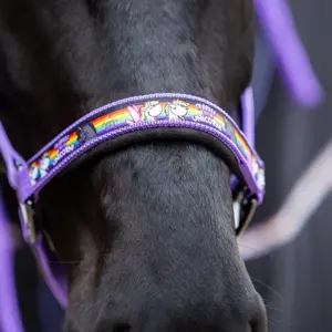 Halter for horse Pummel & Friends Halfter Uno Plus image-1