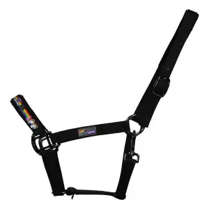 Pony halter Pummel & Friends Halfter Uno Plus image-0