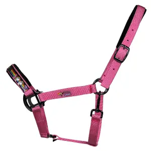 Pony halter Pummel & Friends Halfter Uno Plus image-0