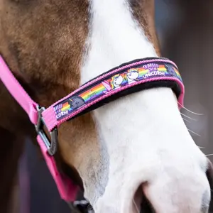 Pony halter Pummel & Friends Halfter Uno Plus image-1