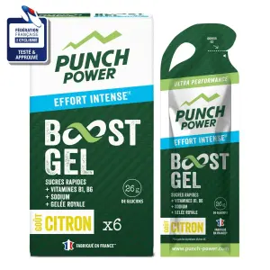 Gel energetico Punch Power Citron (x6)