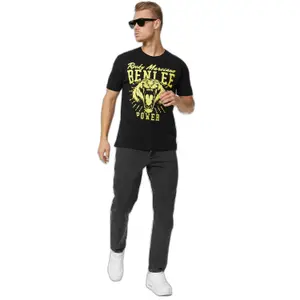 Classic cut T-shirt Benlee Tigerpower image-1