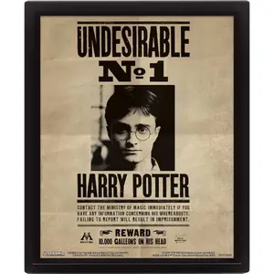 3d lenticular frame Pyramid Harry Potter Sirius
