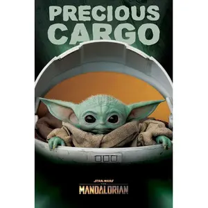 Pack of 5 posters Pyramid Star Wars The Mandalorian Precious Cargo image-0