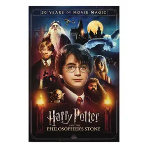 Poster Pyramid Harry Potter 20 Years of Movie Magic (x4) image-0