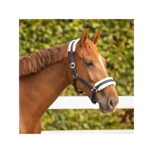 Cabestro para caballos Q-essentials Cali image-1