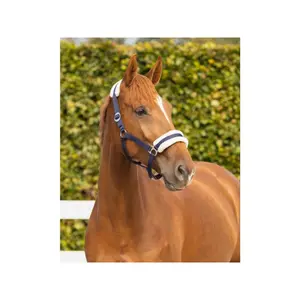 Cabestro para caballos Q-essentials Cali image-2