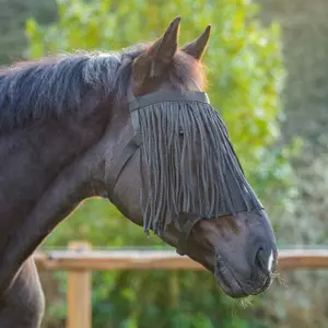 Horse Headcollar with Fly Masks Q-essentials image-0