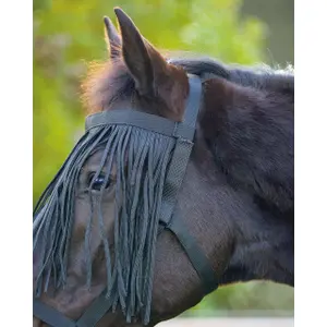 Horse Headcollar with Fly Masks Q-essentials image-1
