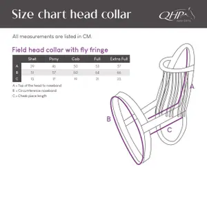 Horse Headcollar with Fly Masks Q-essentials image-2