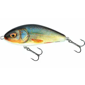 Επιπλέον δόλωμα Salmo fatso 10 cm image-0