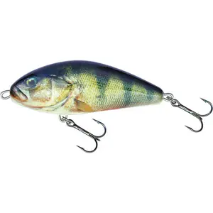 Lure Salmo F10S image-0