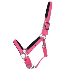 Halter for horse QHP image-0