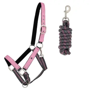 Halter and lead rope set for horse QHP