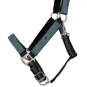 Halter and lead rope set for horse QHP image-1