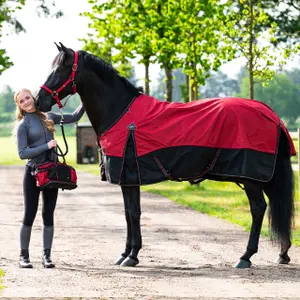 Halfter QHP Oakleigh image-3