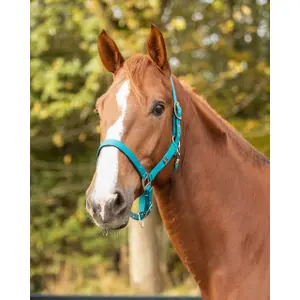 Nylon halter with lining QHP image-2