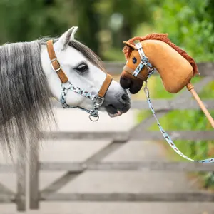 Juego de cabestro y correa para caballos QHP Stable Buddy image-2