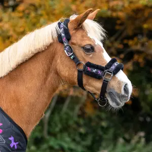 Halster en touwset voor paarden QHP Isalyn image-1