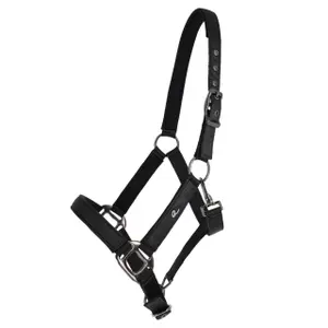 Halter for horse QHP Glitter image-0
