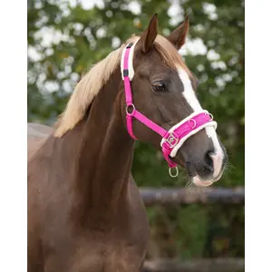 Horse cavesson QHP image-1