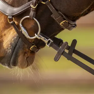 One-sided non-slip leather reins for horse with clip QHP image-1