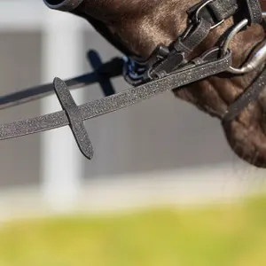 Reins for horses QHP Web Glitter image-1