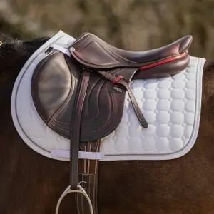 Saddle pad for horses QHP Firenze image-6