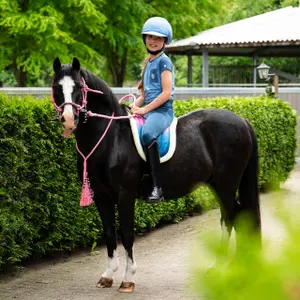 Riding mat for horses QHP Rosalynn image-3